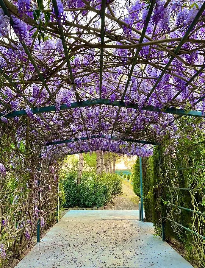 Hotel Aatu - Adults Only Peratallada